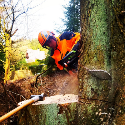 IMG20230318213359044