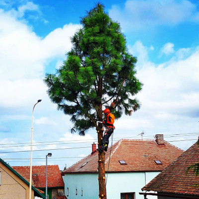 IMG20230926190203204