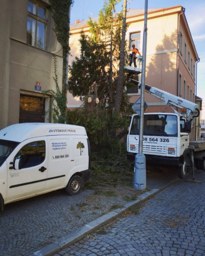 IMG20231117212935689