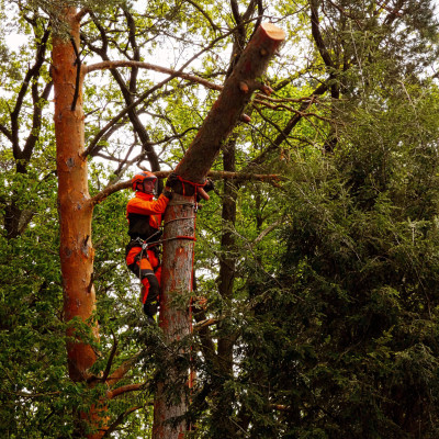 IMG20240420130238031